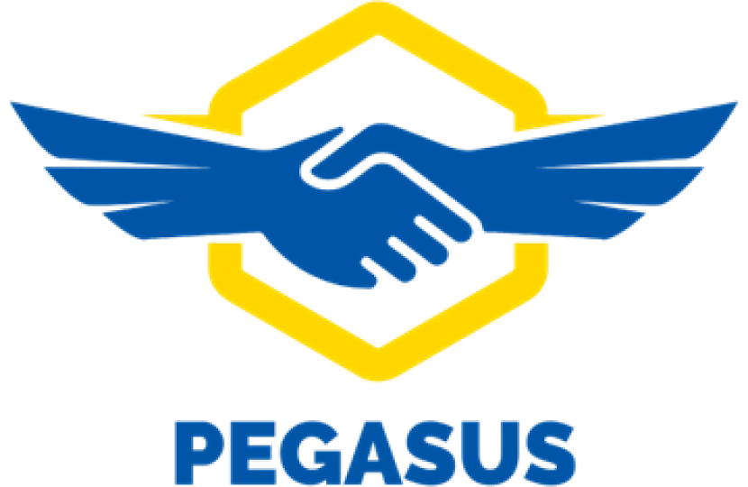 Pegasus Logo